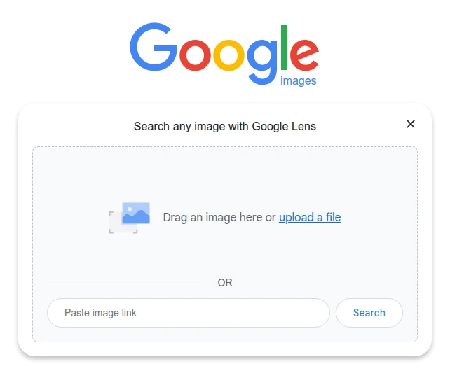 Image Search Techniques: Google Images