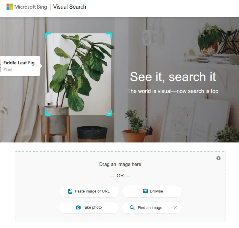 Image Search Techniques: Microsoft Visual Search